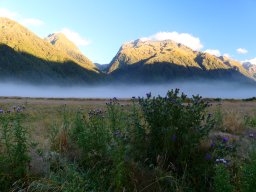 Milford Track, Neuseeland